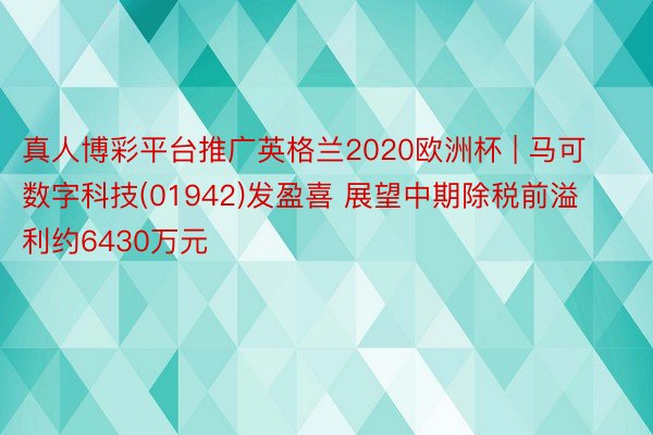 真人博彩平台推广英格兰2020欧洲杯 | 马可数字科技(01942)发盈喜 展望中期除税前溢利约6430万元