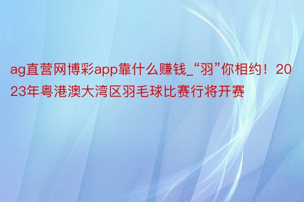 ag直营网博彩app靠什么赚钱_“羽”你相约！2023年粤港澳大湾区羽毛球比赛行将开赛