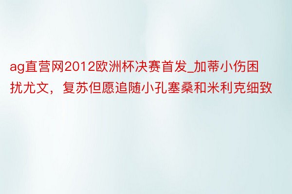 ag直营网2012欧洲杯决赛首发_加蒂小伤困扰尤文，复苏但愿追随小孔塞桑和米利克细致